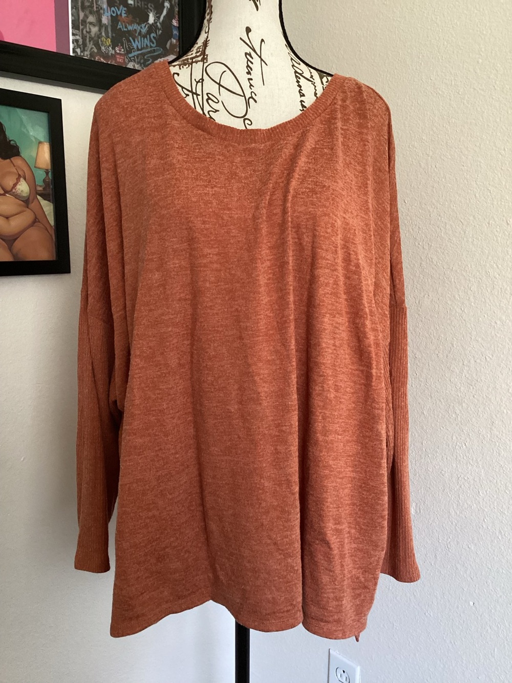 Joyspun Relaxed Long Sleeve Top in Rust Orange 3X